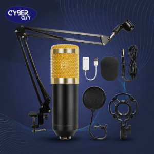 BM 800 Podcast Mic