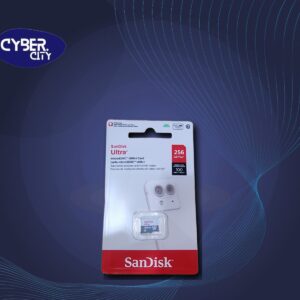 Sandisk 256 MSD