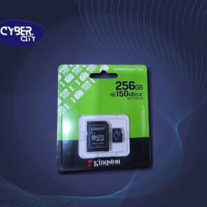 Kingston 256gb MSD