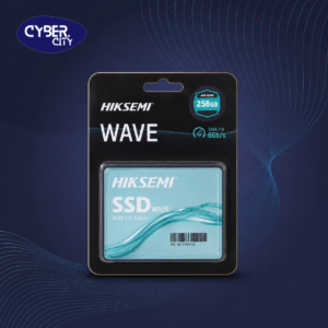 HikSemi 256 SSD (INT)